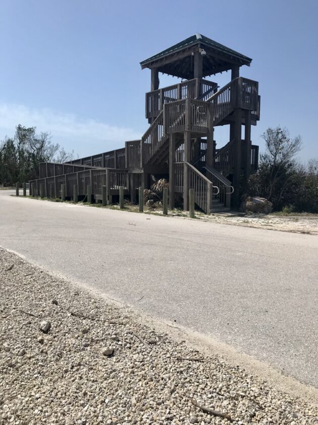 Refuge announces reopening for Wildlife Drive, visitor center News